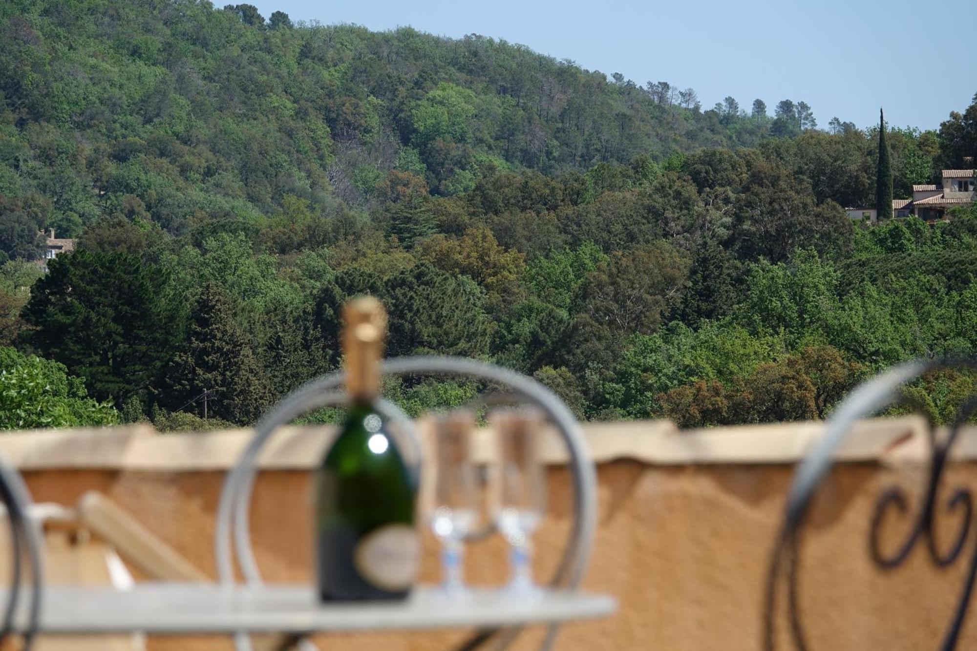 La Sarrazine - Suites - La Garde Freinet, Var Buitenkant foto